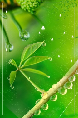 传统节气日期小清新二十四节气谷雨PSD高清图片