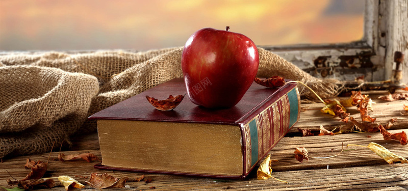 全能字典牛顿的苹果摄影图片