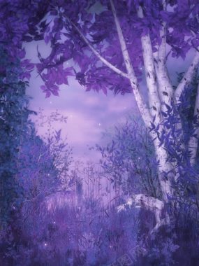 紫色神秘夜晚树林背景
