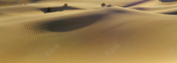 黄色沙漠干枯无人jpg设计背景_新图网 https://ixintu.com 干枯 无人 沙漠 黄色
