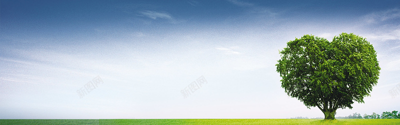 绿树蓝天背景banner摄影图片