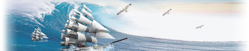 海浪海鸥大海背景图摄影图片
