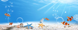 小清新鱼群夏季小清新蓝色海报背景高清图片