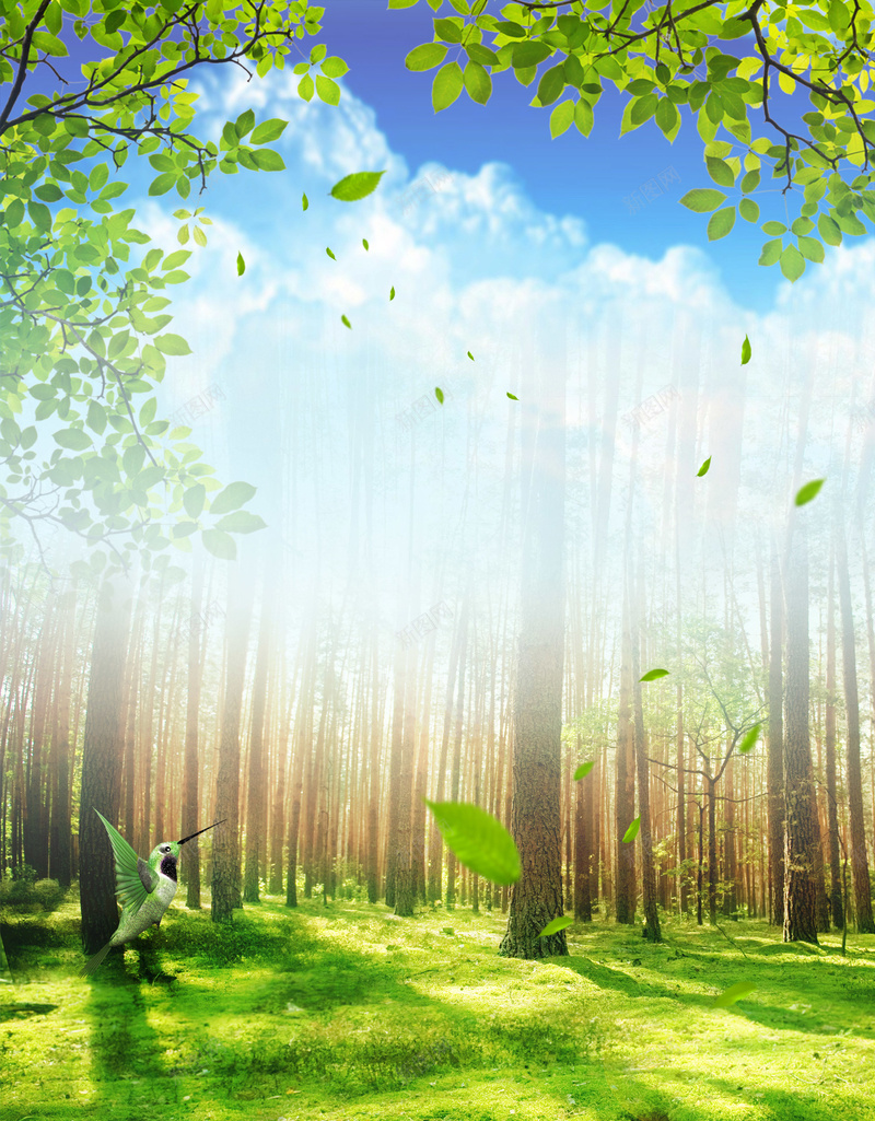 绿色森林树林风景摄影叶子合成背景psd_新图网 https://ixintu.com 叶子 合成 摄影 树林 森林 素材 绿色 背景 风景