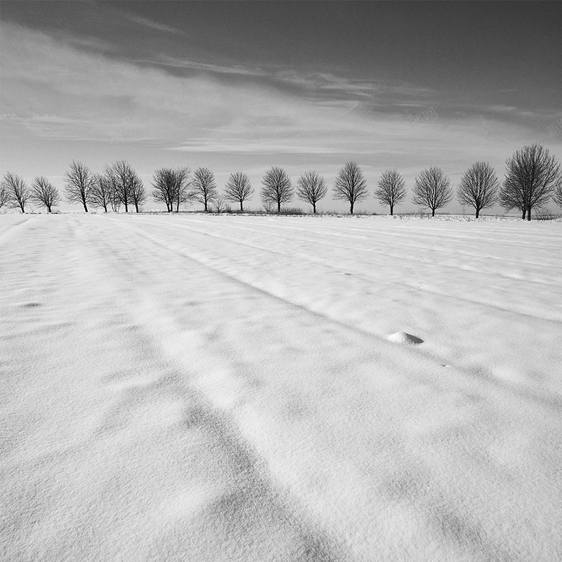 雪天的荒野psd_新图网 https://ixintu.com 主图 摄影 荒野 雪地树荒野 风景