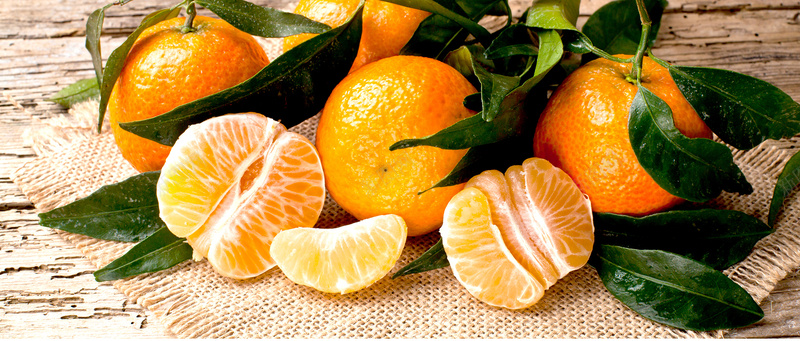 橘子背景摄影图片