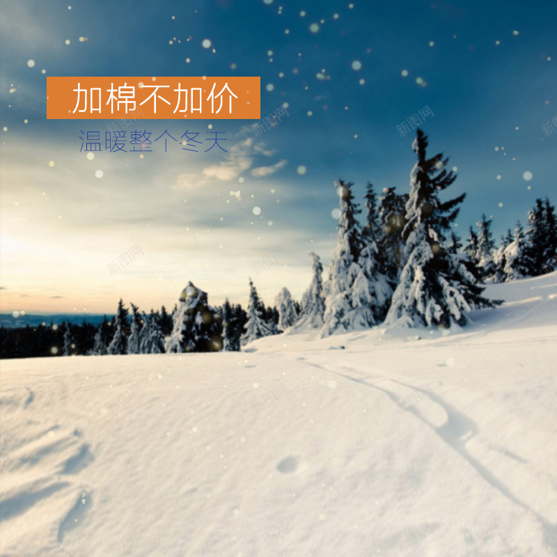 冬季雪景psd_新图网 https://ixintu.com 主图 冬季 摄影 松树 雪景 风景
