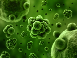 医疗细人体细胞细菌等生物高清图片