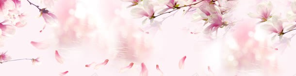 春夏女装bannerjpg设计背景_新图网 https://ixintu.com banner 女装