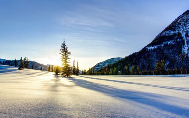 唯美光韵的雪景风光背景