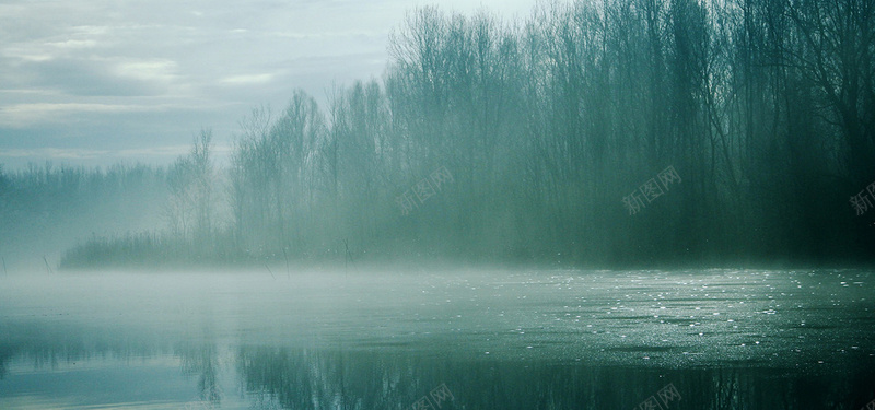 诗意雾气意境树林水墨意境的美景摄影图片