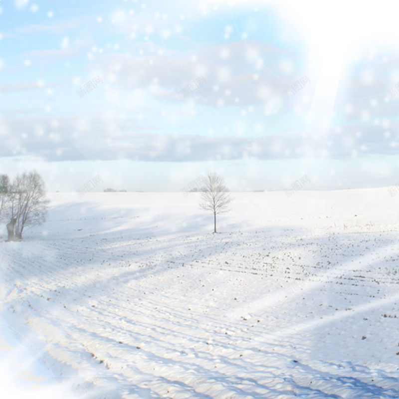 雪景背景psd_新图网 https://ixintu.com 主图 摄影 树 浪漫 雪景 风景