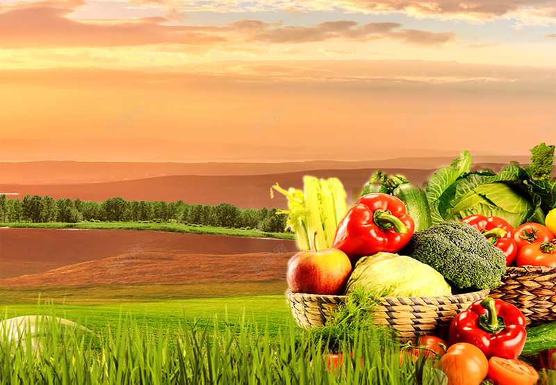 食品食物水果蔬菜jpg设计背景_新图网 https://ixintu.com 健康 农场 有机 水果 草地 蔬菜 辣椒 食品 食物