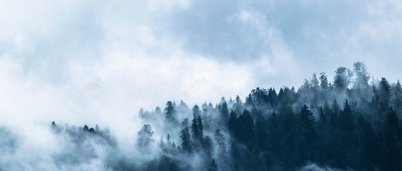 森林雾气背景摄影图片