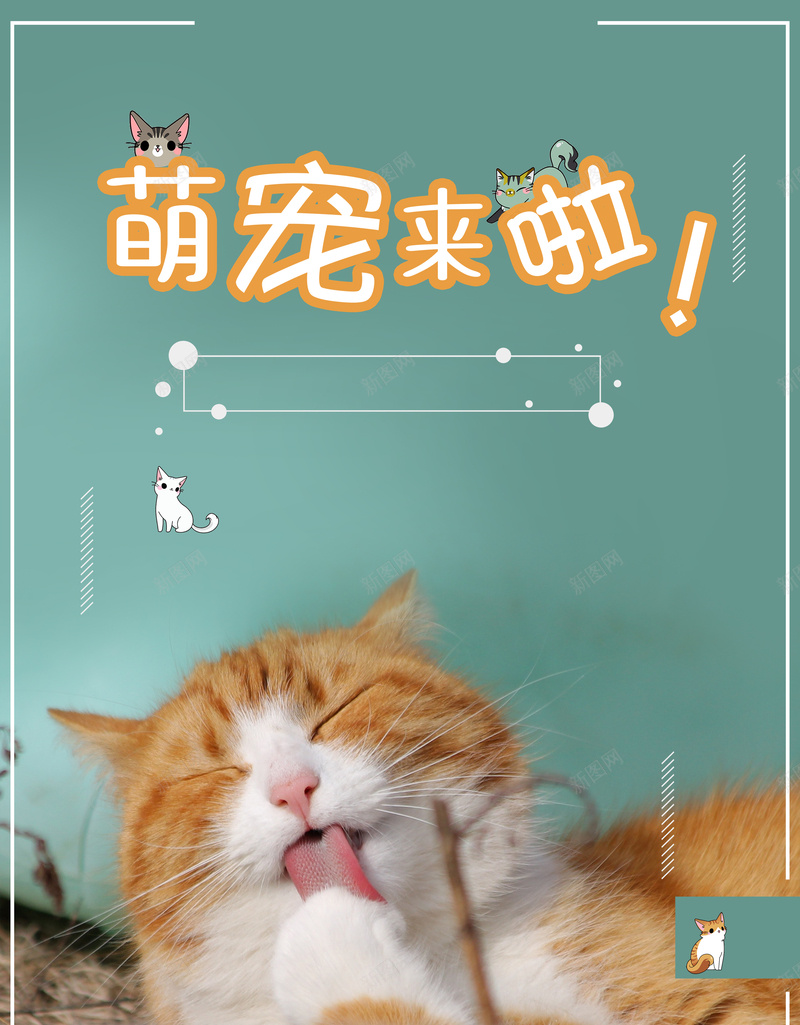 宠物店海报广告背景psd_新图网 https://ixintu.com 促销 宠物店 宣传 广告 海报 猫 素材 背景 萌宠