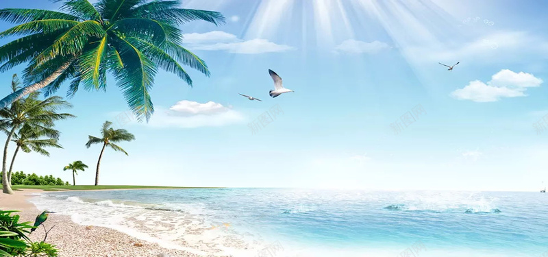美丽的海景jpg_新图网 https://ixintu.com 摄影 植物 椰树 海报banner 海滩 海鸥 白云 蓝天 阳光 风景 鸟