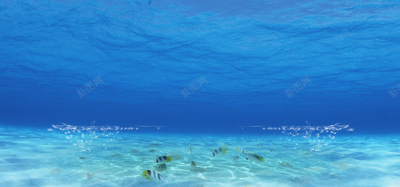 海底背景图摄影图片