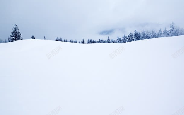雪地室外场景森林jpg设计背景_新图网 https://ixintu.com 场景 室外 森林 雪地