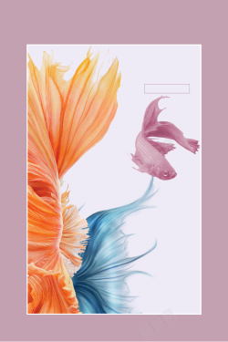 摄影展览金鱼花卉摄影展览简约边框平面广告高清图片
