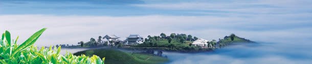 美丽景色淘宝海报背景jpg设计背景_新图网 https://ixintu.com banner 唯美 背景素材 通用海报背景 黄色