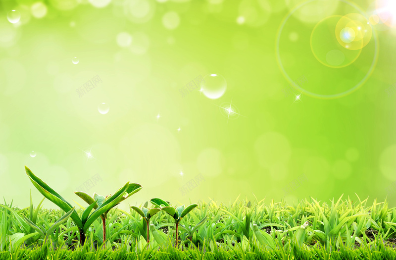 春天模板背景jpg设计背景_新图网 https://ixintu.com 发芽 大树 天空 春天 春天模板下载 树枝 白云 绿草 草地 萌芽 鲜花