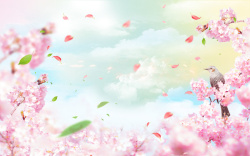 樱花节促销唯美浪漫樱花节海报背景高清图片