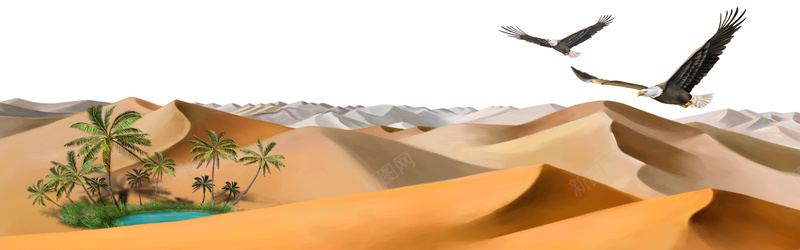 沙漠雄鹰背景摄影图片