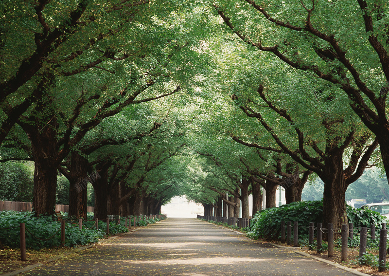 背景脚下的路12jpg_新图网 https://ixintu.com 摄影 路 风景 高清背景