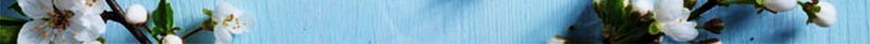 春季新品促销背景模板psd设计背景_新图网 https://ixintu.com PSD 平面 广告 新品上市 春天上新撕 春季新品 春季新品促销海报PSD分层素材 桃花 模板 海报 淡雅海报设计模板 破的纸张 突破 素材 背景 花瓣