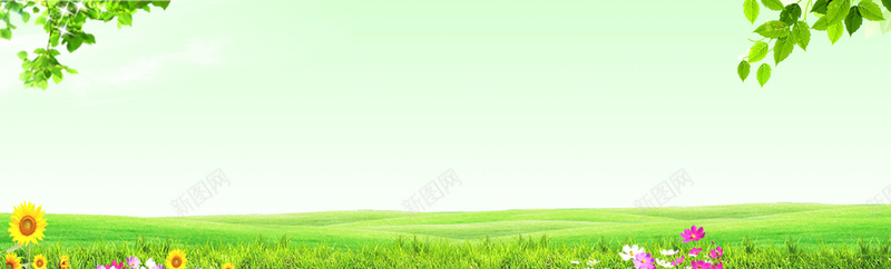 绿色草坪背景摄影图片