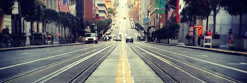 花卉花纹图片唯美道路风景摄影图片