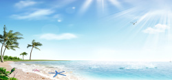 老鹰大海开心大海沙滩夏季海报高清图片