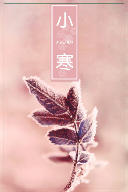 小寒风景小寒粉色唯美冬季节气海报高清图片