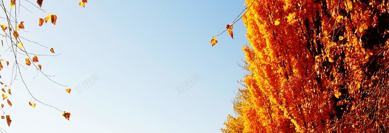 黄金聚宝盆秋景摄影图片