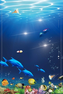 夏季海星鲸鱼海草海底夏天海底世界背景高清图片