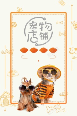 宠物店铺猫粮狗粮宠物促销海报海报