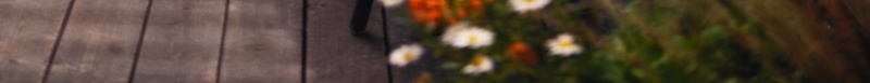 花园里的露台jpg设计背景_新图网 https://ixintu.com 庭院 桌椅 楼阁 洋房 盆景 盆栽 绿植 花园 花朵 花鸟鱼虫 露台 鲜花