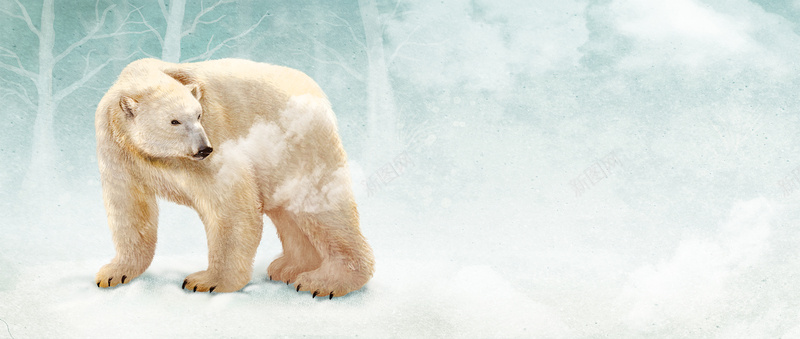 冬日北极熊海报背景