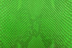 绿色皮革背景绿色蛇皮背景高清图片