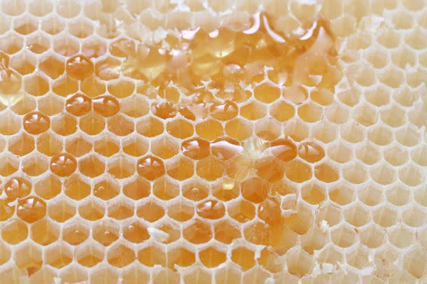 蜂巢与蜂蜜jpg设计背景_新图网 https://ixintu.com 图片素材 底纹背景 背景图案 背景花边 蜂巢与蜂蜜图片 蜂巢与蜂蜜图片素材下载 蜂巢纹理背景 蜂巢背景 蜂窝背景 蜂蜜 蜜糖