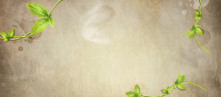 中国风绿色植物banner绿色复古背景高清图片