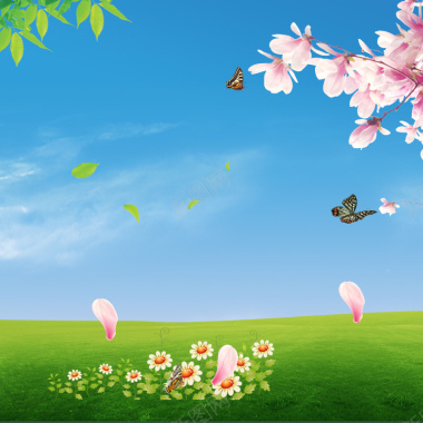 蓝天草地盛开的桃花花瓣主图背景背景