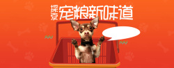 全屏初秋海报时尚风格日常需求宠物用品全屏海报高清图片