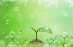 环保泡泡清新绿色小苗环保公益海报背景模板高清图片