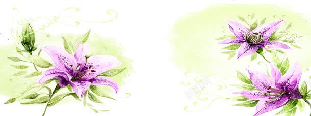 紫色花朵背景jpg设计背景_新图网 https://ixintu.com psd素材 春季 盛开 紫色盛开鲜花插画 花卉 花朵 鲜花