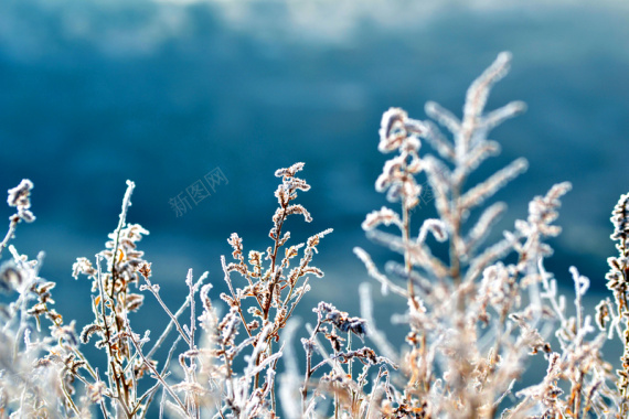 唯美冬季雪景背景