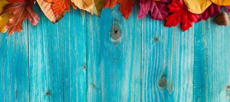 枯萎的叶子木板背景图背景