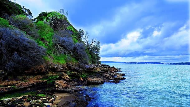 蓝天海水岩石植物背景