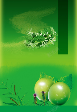 青梅零食绿色青梅零食海报背景模板高清图片