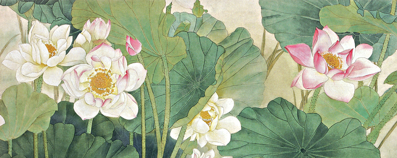 工笔画荷花淘宝网站背景图psd设计背景_新图网 https://ixintu.com 中国风 工笔画 海报banner 淘宝网站背景图 荷花
